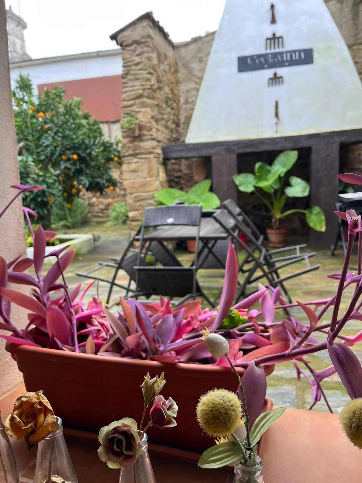 Ceclavinn Casa Rural Экстерьер фото